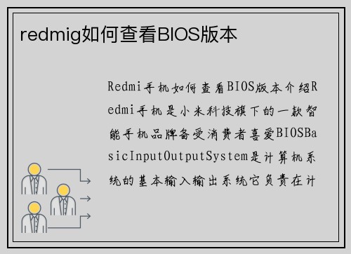 redmig如何查看BIOS版本