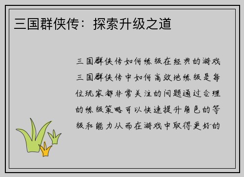 三国群侠传：探索升级之道